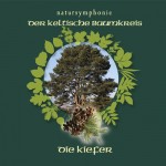 Celtic Lifetree Massage - Lebensbaum Kiefer