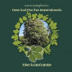 Celtic Lifetree Massage - Lebensbaum Kastanie