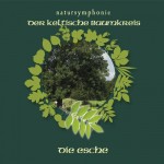 Celtic Lifetree Massage - Lebensbaum Esche